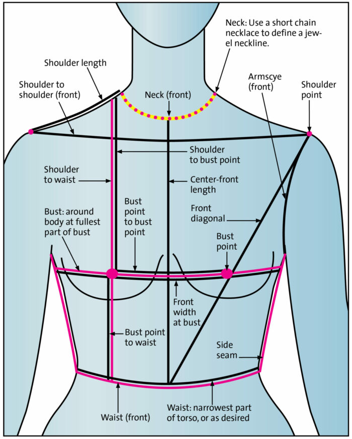 body torso measurements