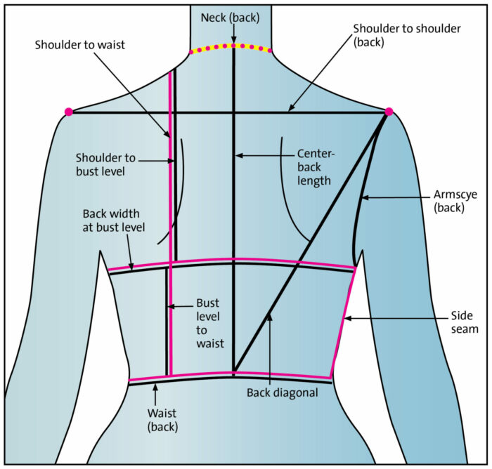 body essential measuring points