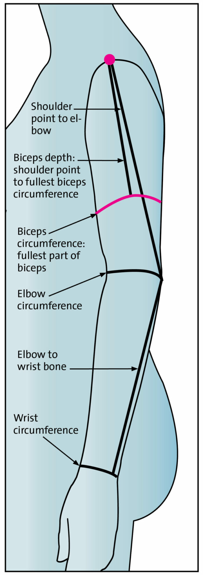 arm and sleeve measurements