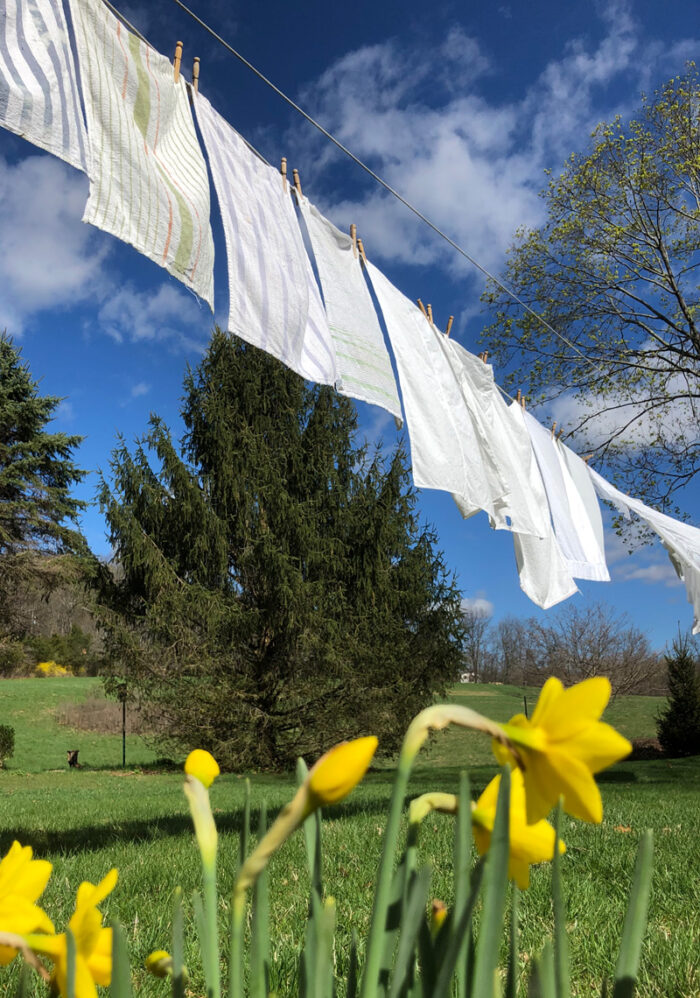 Wash hanging outside in the sunshine on a clothesline