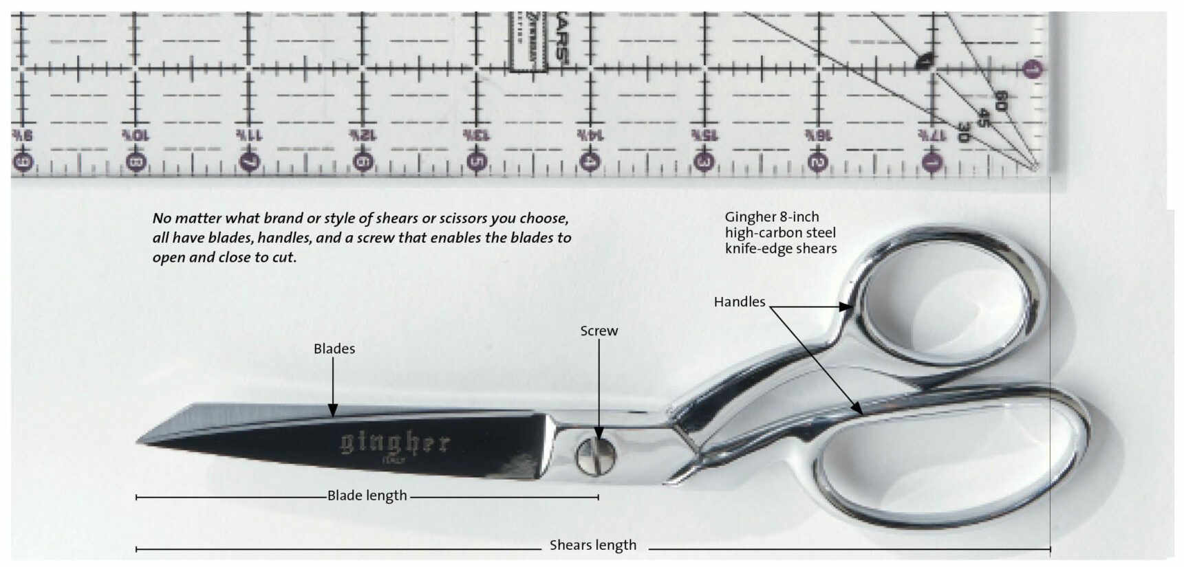 anatomy of scissors