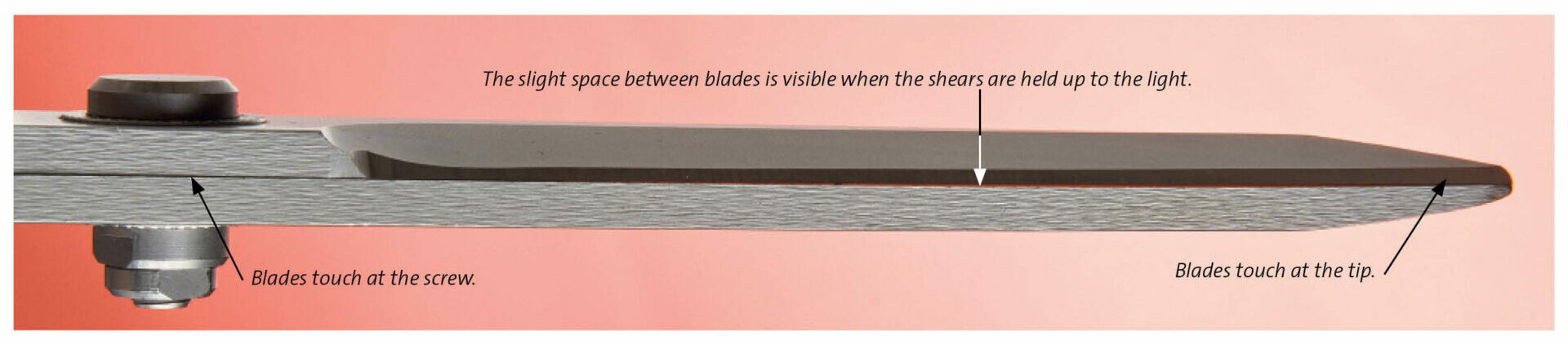 blade alignment cut right