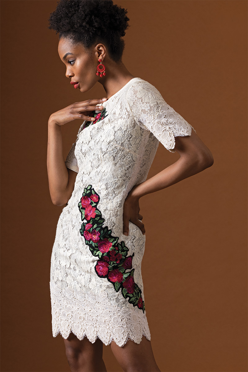 Embroidered lace outlet dress